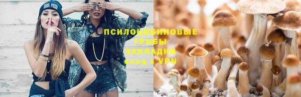 молекула духа Вязьма