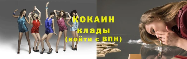 молекула духа Вязьма