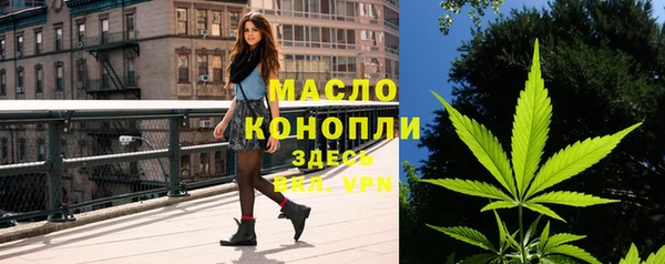 дмт Вяземский