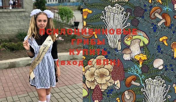дмт Вяземский