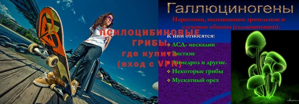 молекула духа Вязьма