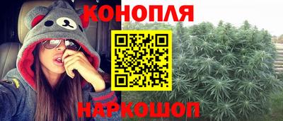 шишки Кимры
