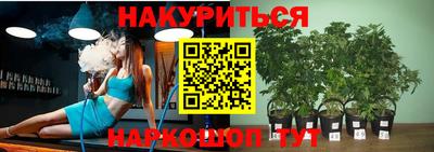 спиды Кандалакша