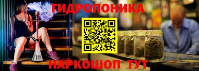 стаф Камышлов