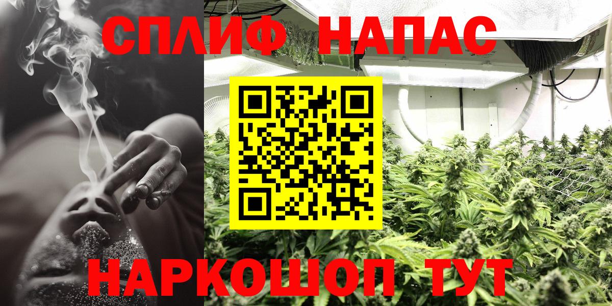 Нурлат  Шишки марихуана планчик  Вход с VPN  МАРИХУАНА тримм  Канабис планчик 